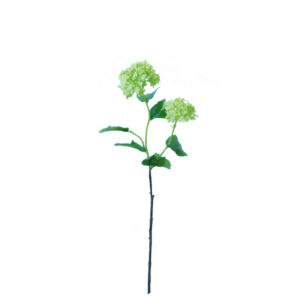 Sneeuwbal  | 48 cm | groen