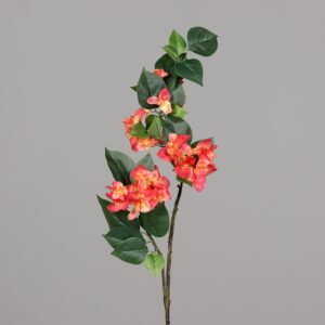 Bougainville | 76 cm | oranje
