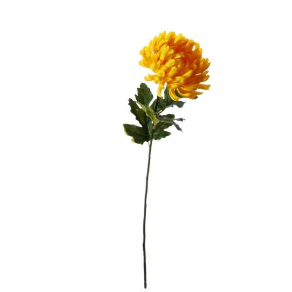 FlowerDutches chrysanthemum geel edited 1