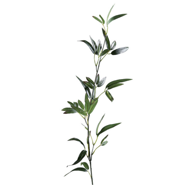 FlowerDutchess Bamboe tak 84cm groen