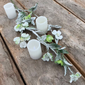 Besneeuwde Kornoelje | 90 cm | groen
