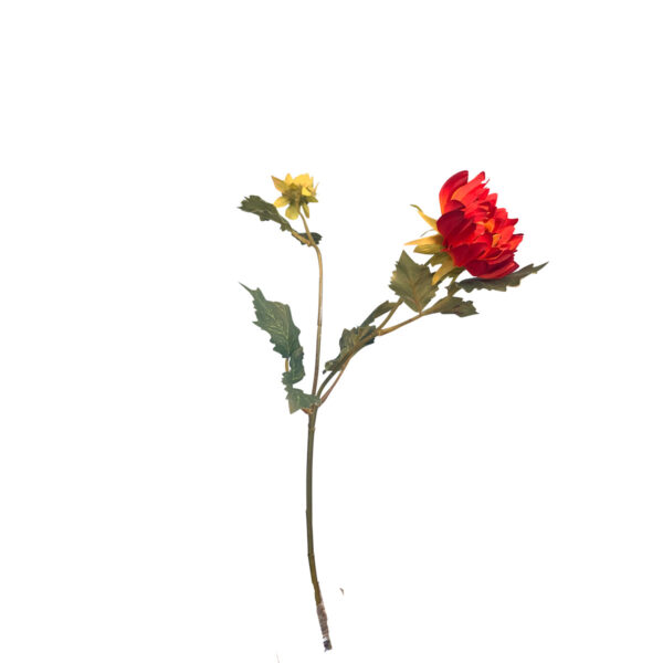 FlowerDutchess Dahlia 40cm oranje rood 5