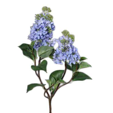 FlowerDutchess Lilac 89cm blue