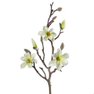 Magnolia tak | 72 cm | creme