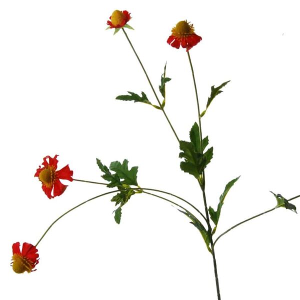 FlowerDutchess Rudbeckia 76cm rood detail 2