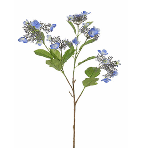 FlowerDutchess SchermHortensia 79cm blauw