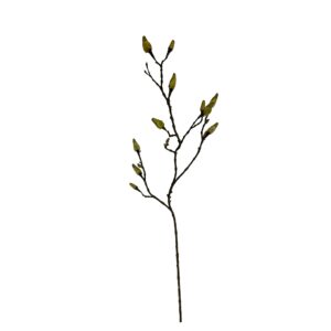 Magnoliatak met knoppen | 90 cm | natuurgetrouw