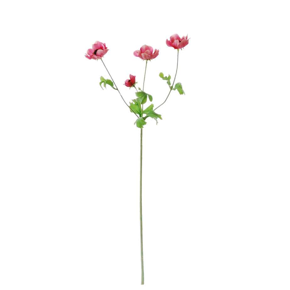 FlowerDutchess anemone 64cm pink 2