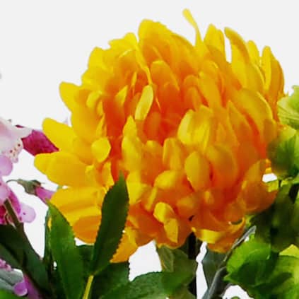 FlowerDutchess chrysant geel detail