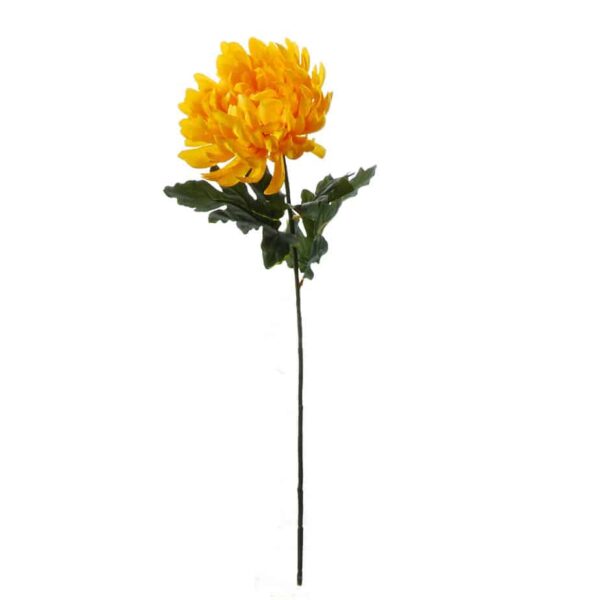 FlowerDutchess chrysanthemem geel 2