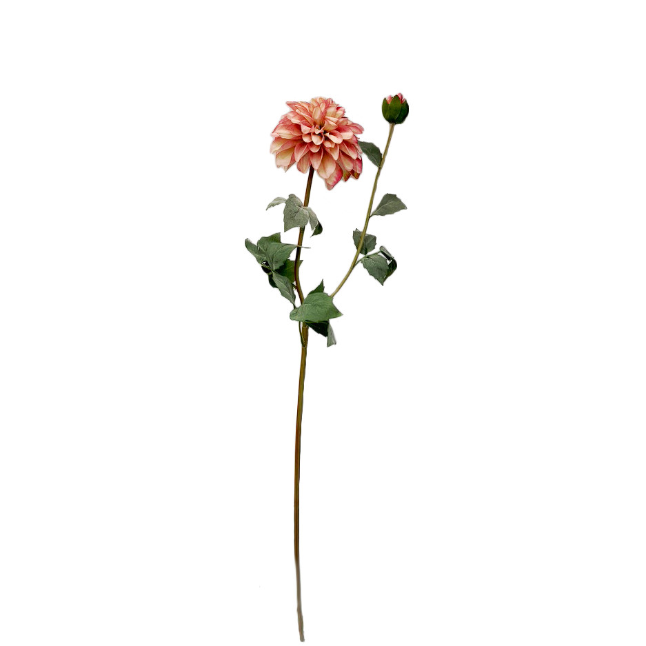 FlowerDutchess dahlia knop 75cm roze 6