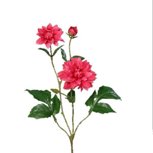 Dahlia tak met 2 bloemen en een knop | 70 cm | hard roze