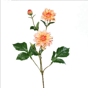 Dahlia tak met 2 bloemen en een knop | 70 cm | zalm