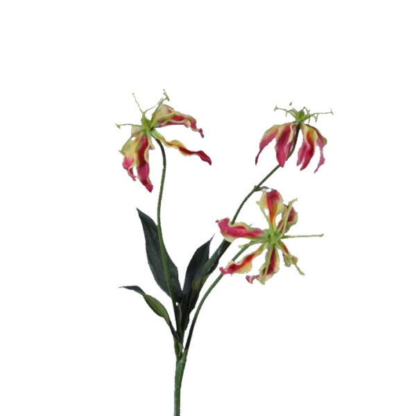 FlowerDutchess gloriosa 51cm geel rood 1