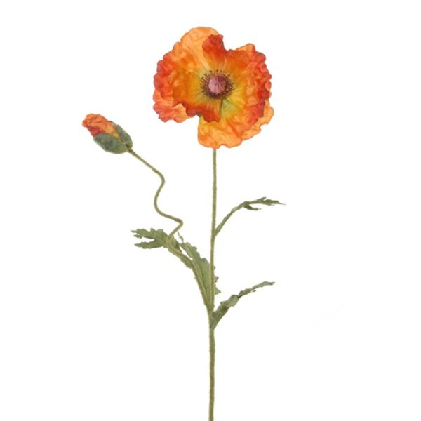 FlowerDutchess klaproos 80cm oranje