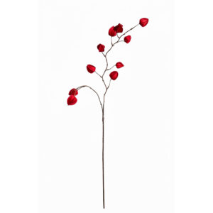 Physalis | 96 cm | rood