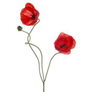 Klaproos | 2 klaprozen en een knop |  74 cm | rood