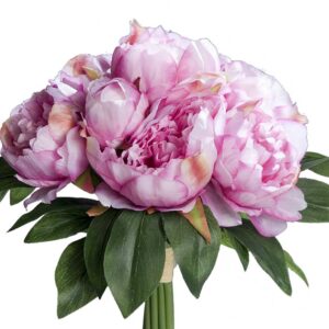 Pioenrozen boeket | 30 cm | roze