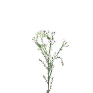 Wax bloem | 64 cm | wit