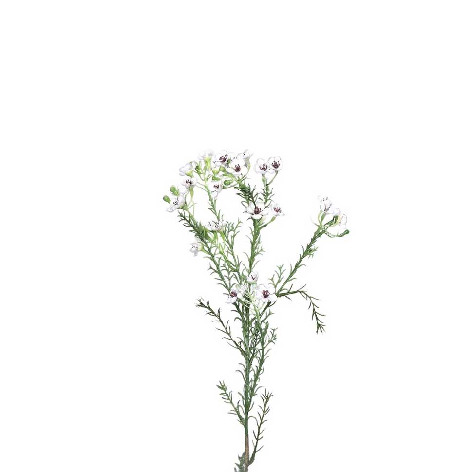 FlowerDutchess kunstbloem wax bloem 64cm wit