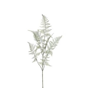 Asperge tak | 85 cm | groen grijs
