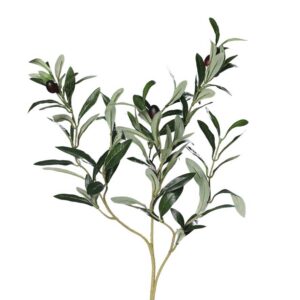 Olijven tak | 74 cm  | zwarte olijven