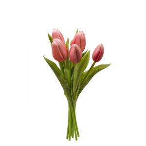 Tulpen | 31 cm | fuchsia roze | bosje van 5