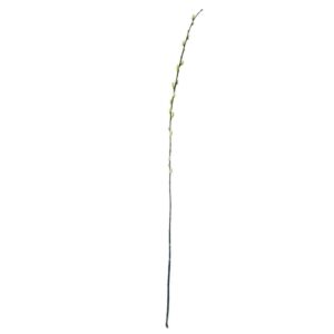 Tak met katjes | 100 cm | grijs