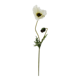 FlowerDutchess poppy with bud cream 87cm 6
