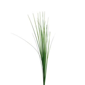 Gras | 70 cm | groen