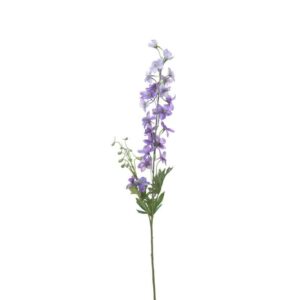 Delphinium | Ridderspoor
 | 80 cm | lila
