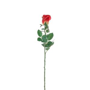 Roos in de knop | 68 cm | rood