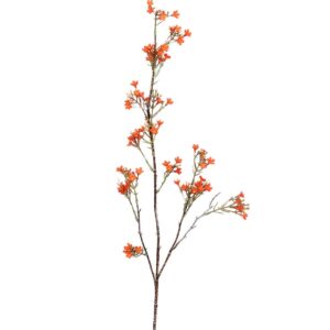 Wasbloem | 108 cm | oranje