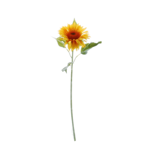 FlowerDutchess zonnebloem