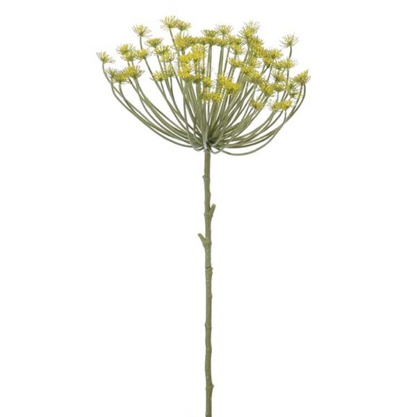FlowerDutchtess kunstbloem berenklauw wildwortel 85cm