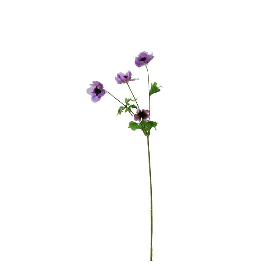 Flowerdutchess Anemone 64cm lavendel