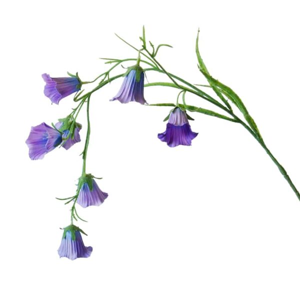 Flowerdutchess Campanula 78cm lavendel 2
