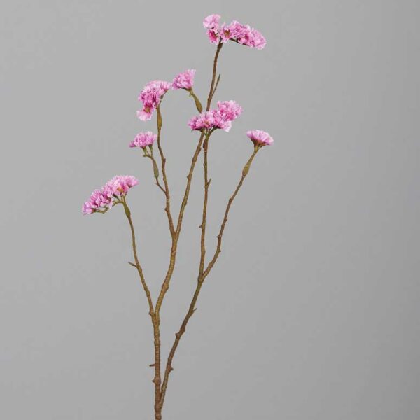 Flowerdutchess Statice 67cm roze