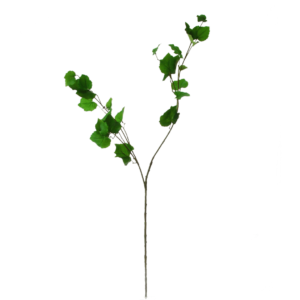 Flowerdutchess birch branch 90cm 2