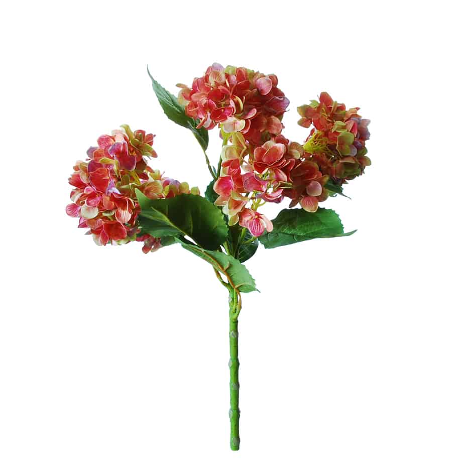 Flowerdutchess hydrangea tak met 5 hortensia bloemen 60 cm mauve groen tall
