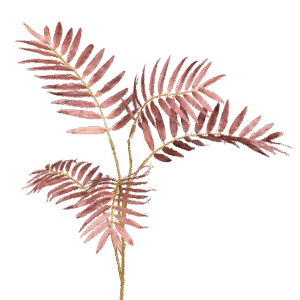 Palm blad | 80 cm| licht bruin