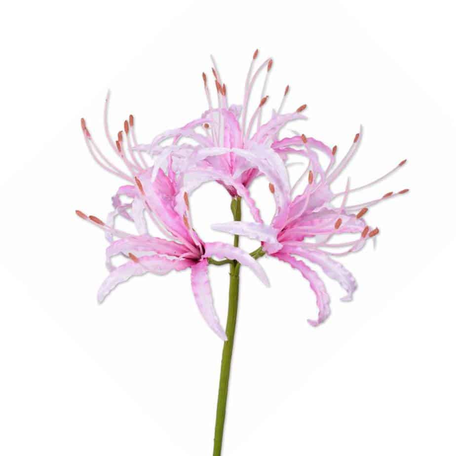 Flowerdutchess zijden bloemen nerine 90cm roze