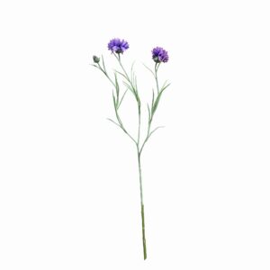 Vrijstaande blauwe korenbloem kunsttak met twee paarsblauwe bloemen en knop op witte achtergrond