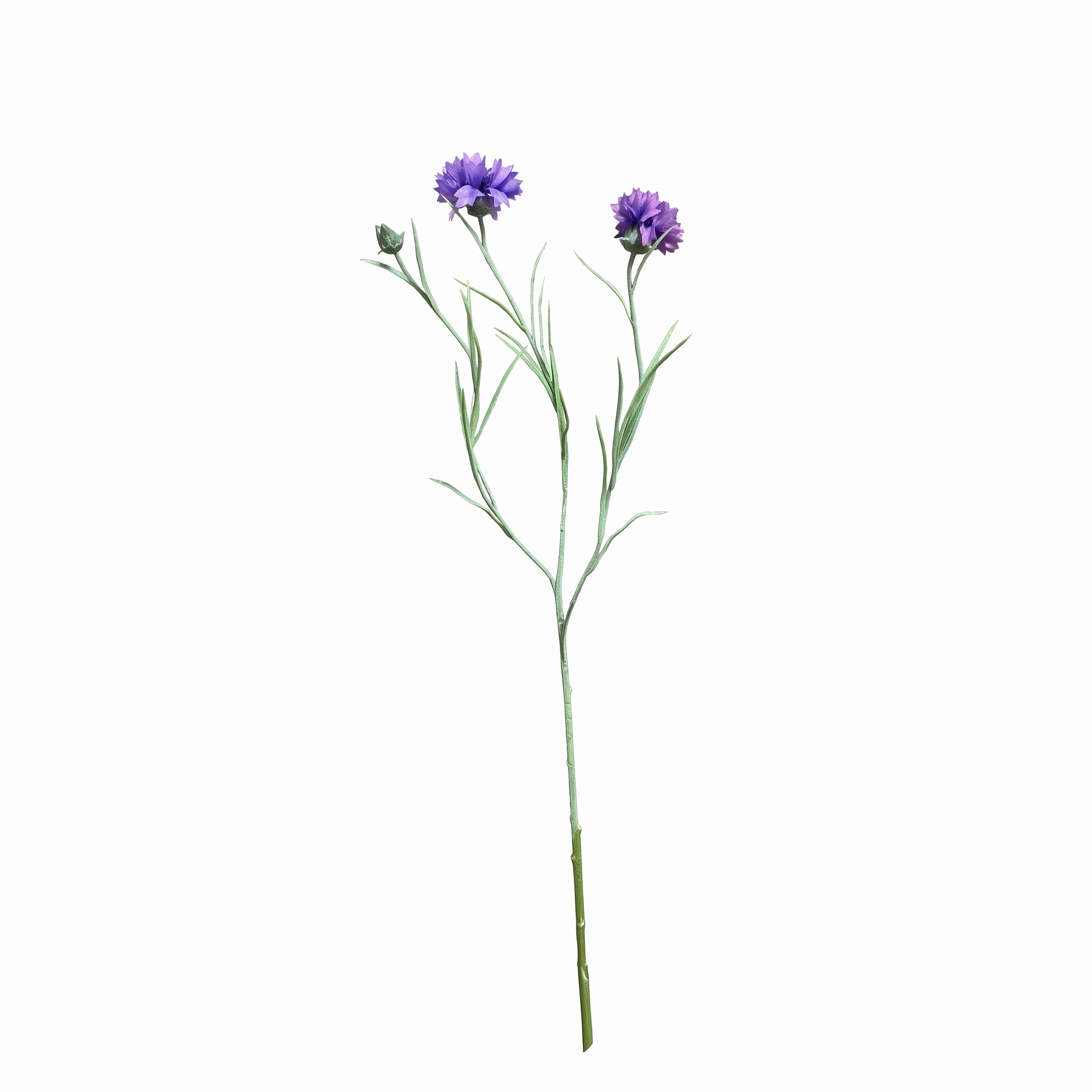 Vrijstaande blauwe korenbloem kunsttak met twee paarsblauwe bloemen en knop op witte achtergrond