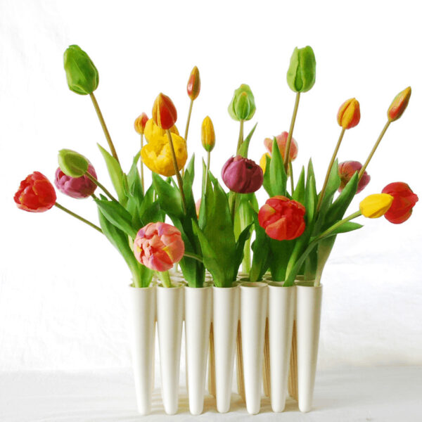 colourful bunch tulips wieringen tall