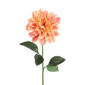 Dahlia | 72 cm | zalm