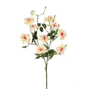 Roos | Wild roosje | 69 cm | oranje creme