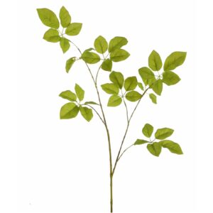 Schefflera bladtak | 110 cm | groen