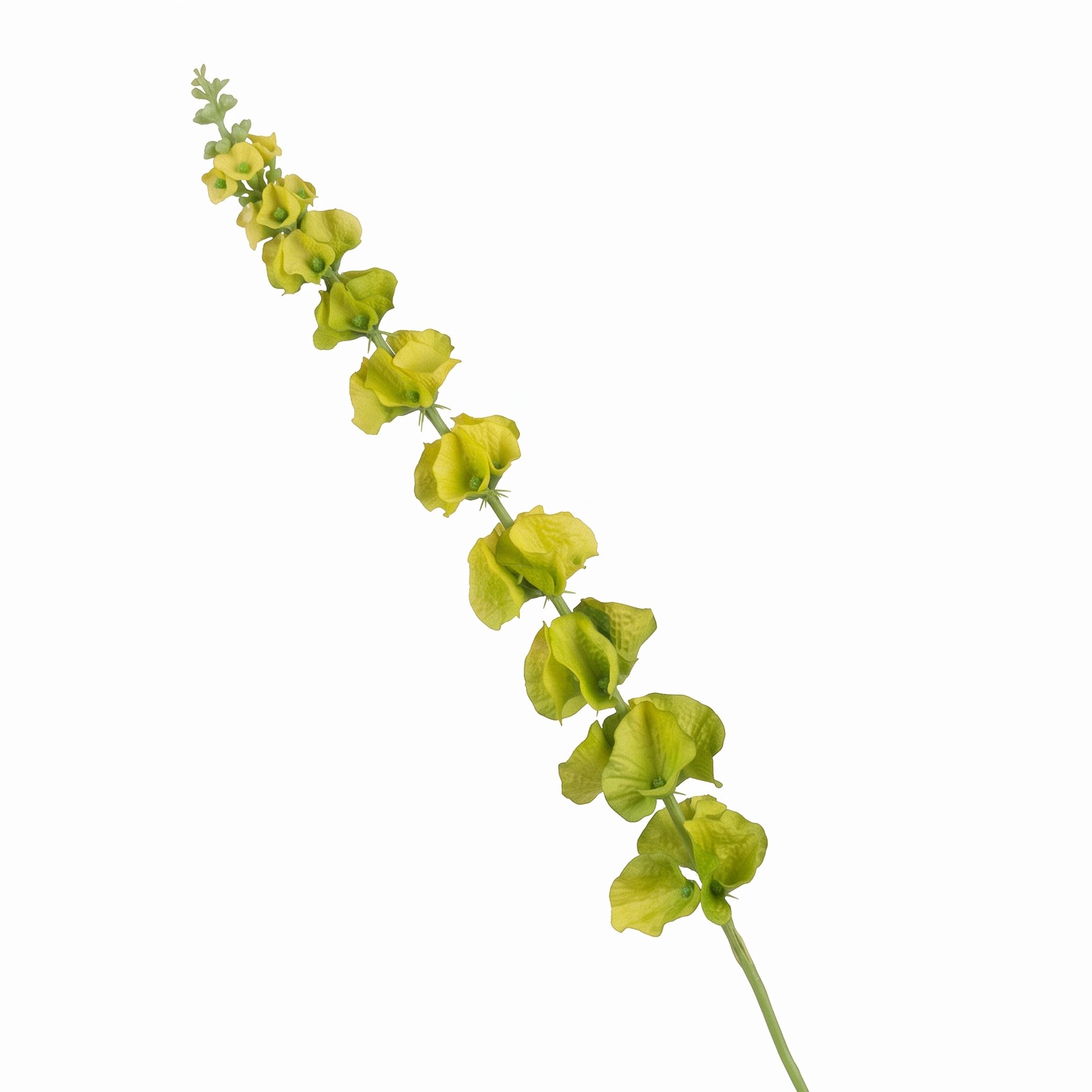 Rechte Moluccella laevis zijden kunsttak van 77 cm op witte achtergrond