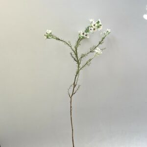 Wasbloem | 64 cm | wit rood